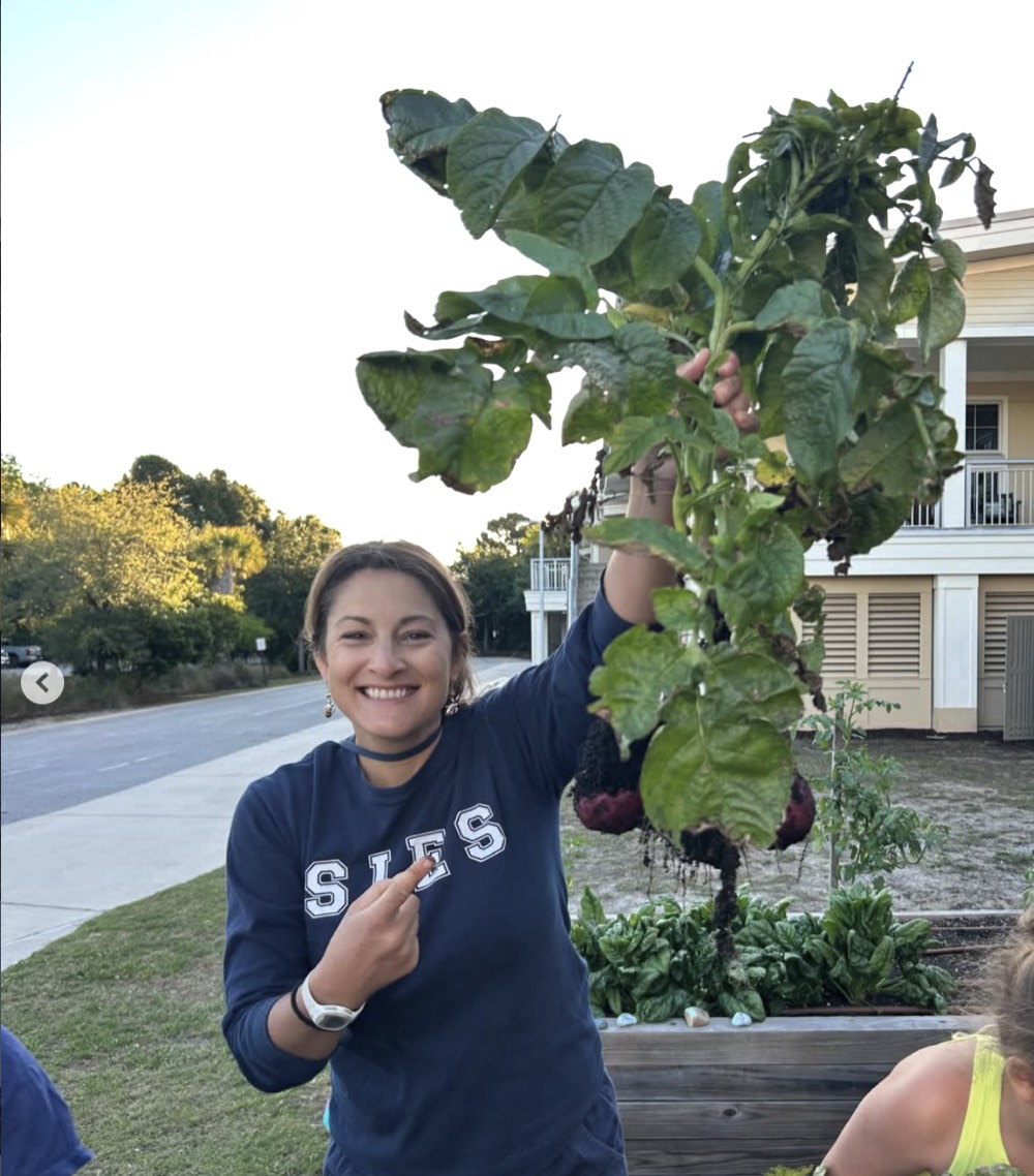 A smiling SIES teacher holds up a leafy potato plant pulled from the school garden
