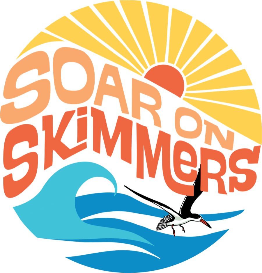 Soar on Skimmers Fun Run artwork — a black skimmer bird gliding over a wave under a sunburst
